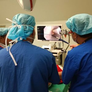 IP Observership Program